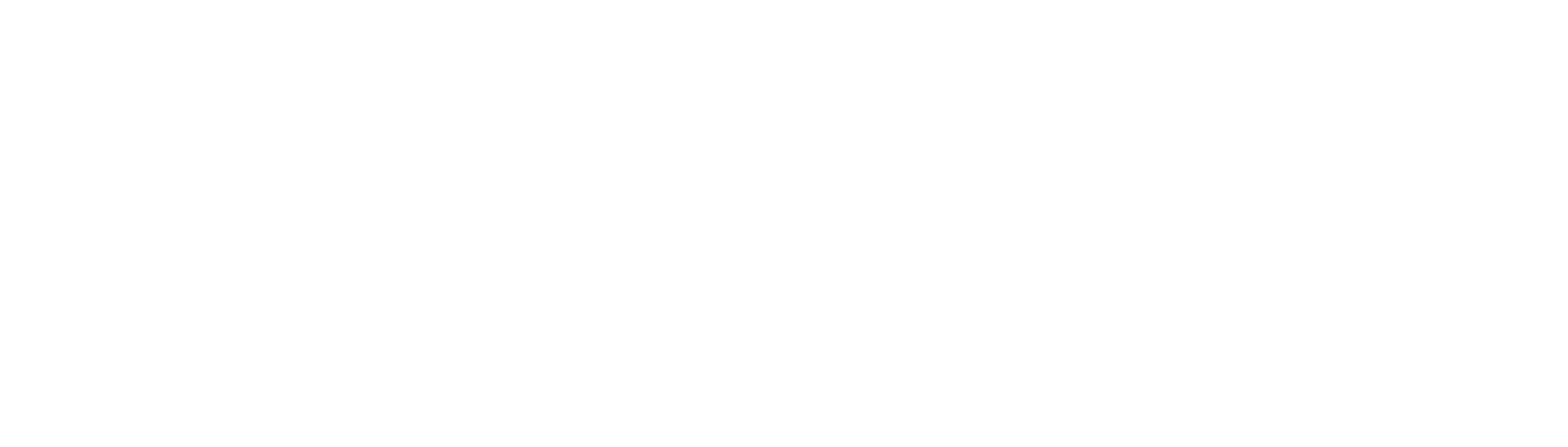 This is a white version of TOWN's logo